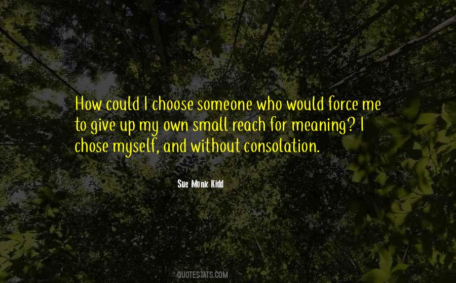 Small Meaning Quotes #1727809