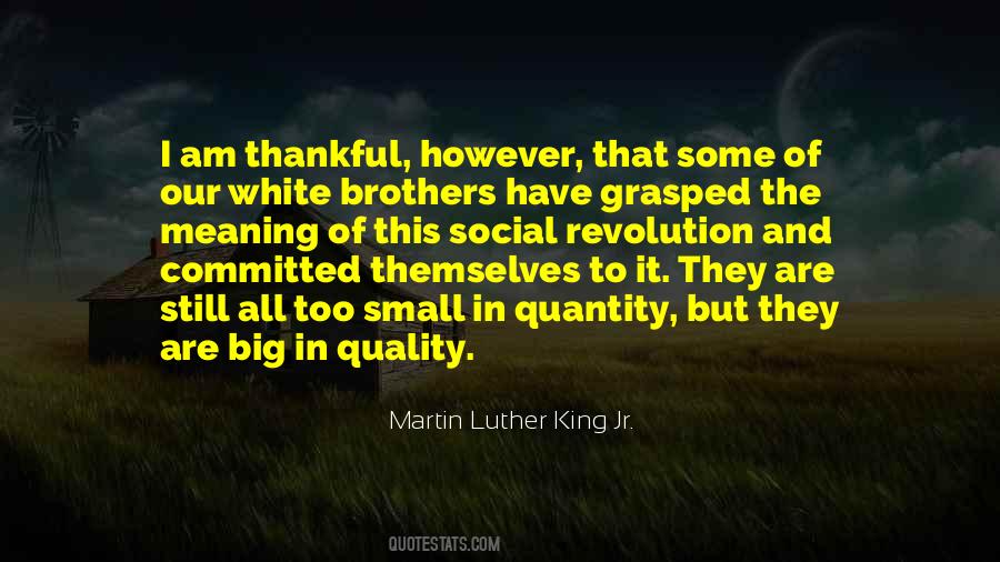 Small Meaning Quotes #180933