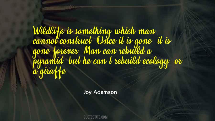 Once Gone Is Gone Quotes #34021