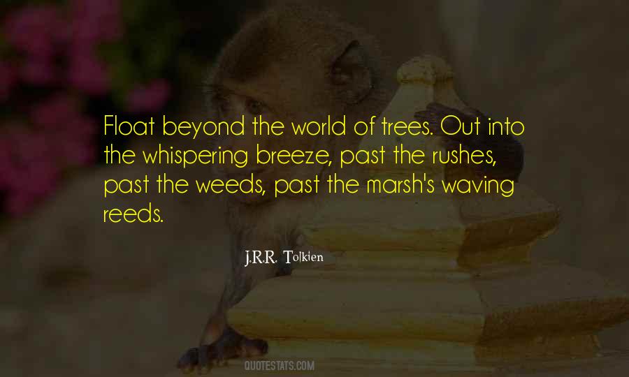 Beyond The World Quotes #180951