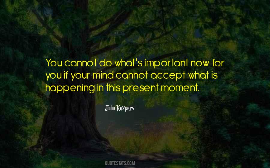 Happiness In What You Do Quotes #1754257