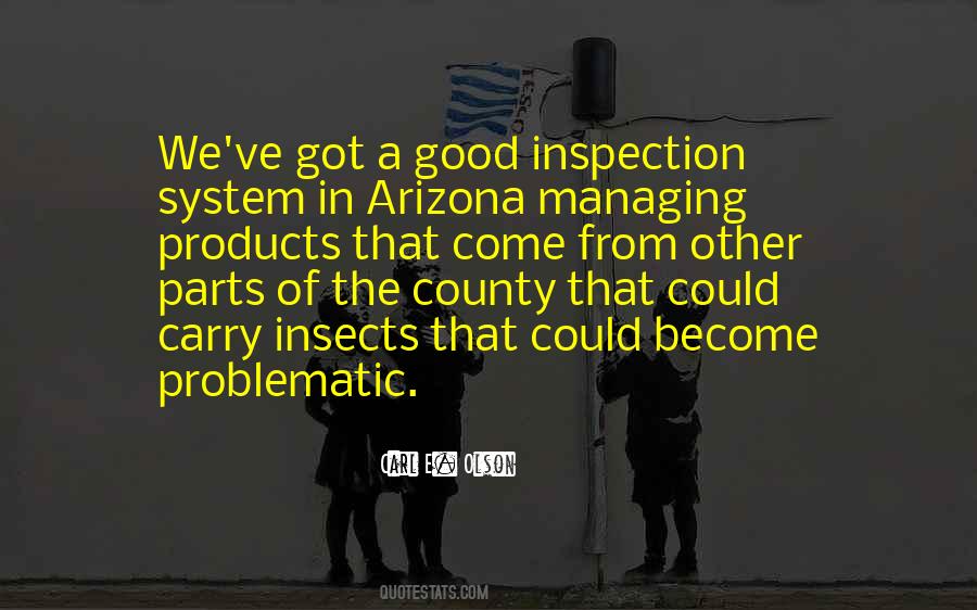 Good Inspection Quotes #1028726