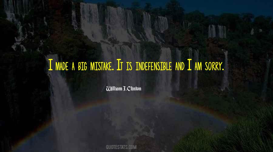 Sorry Mistake Quotes #1690806
