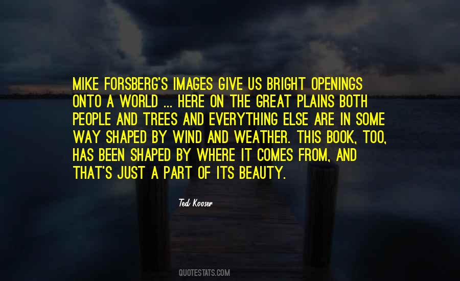The Great Beauty Quotes #1485646