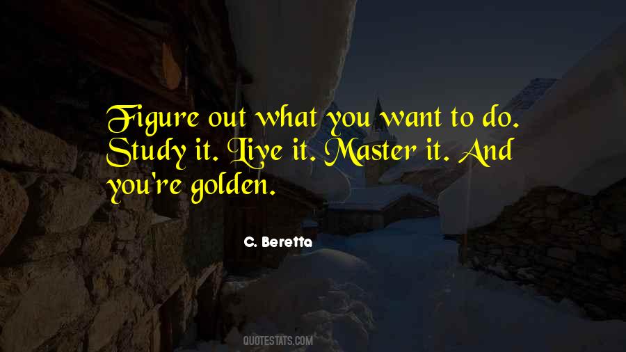 Figure Out What You Want Quotes #1119980