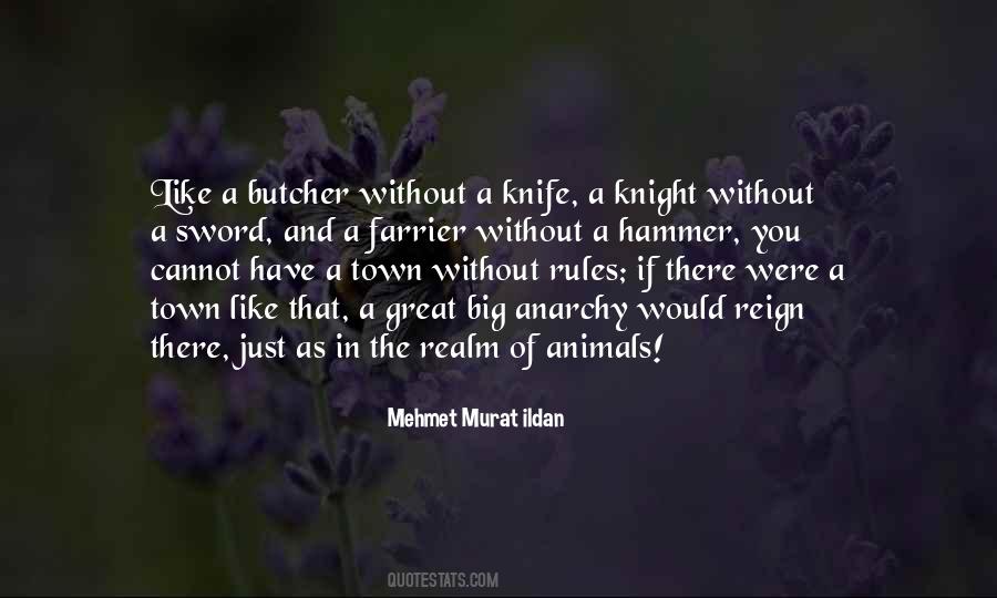 Great Knight Quotes #38203