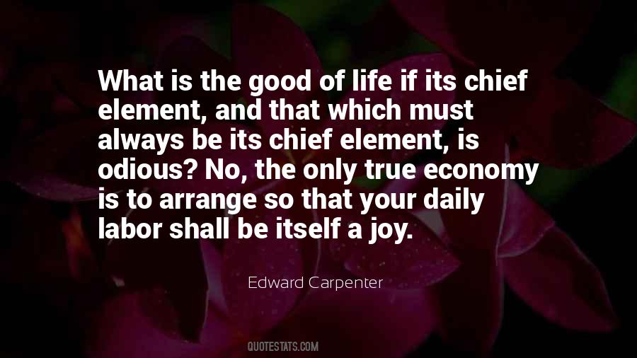 Good Joy Life Quotes #894531