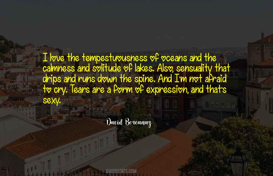I Love Solitude Quotes #1552696