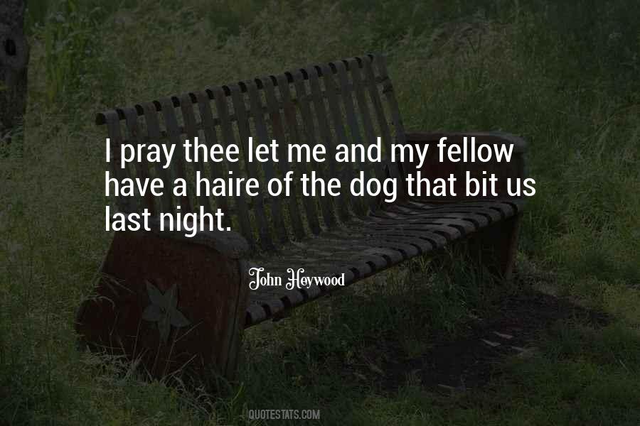 Dog Beer Quotes #506944