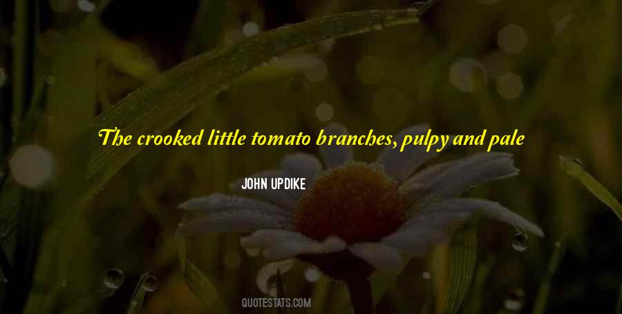 Tomato Is A Fruit Quotes #812272
