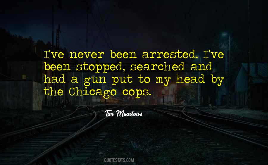 I Searched For You Quotes #498190