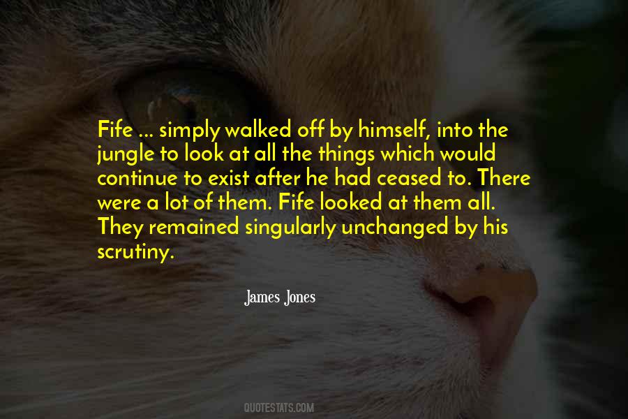 Look Into Them Quotes #1581642