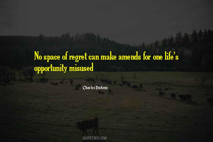Regret Opportunity Quotes #797006