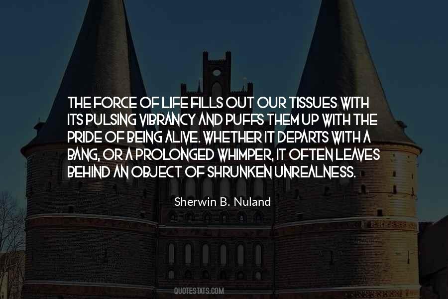 Being Pride Quotes #542802