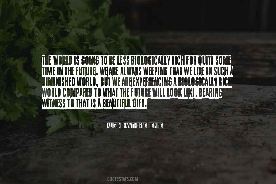 Quotes About Future Will #966673