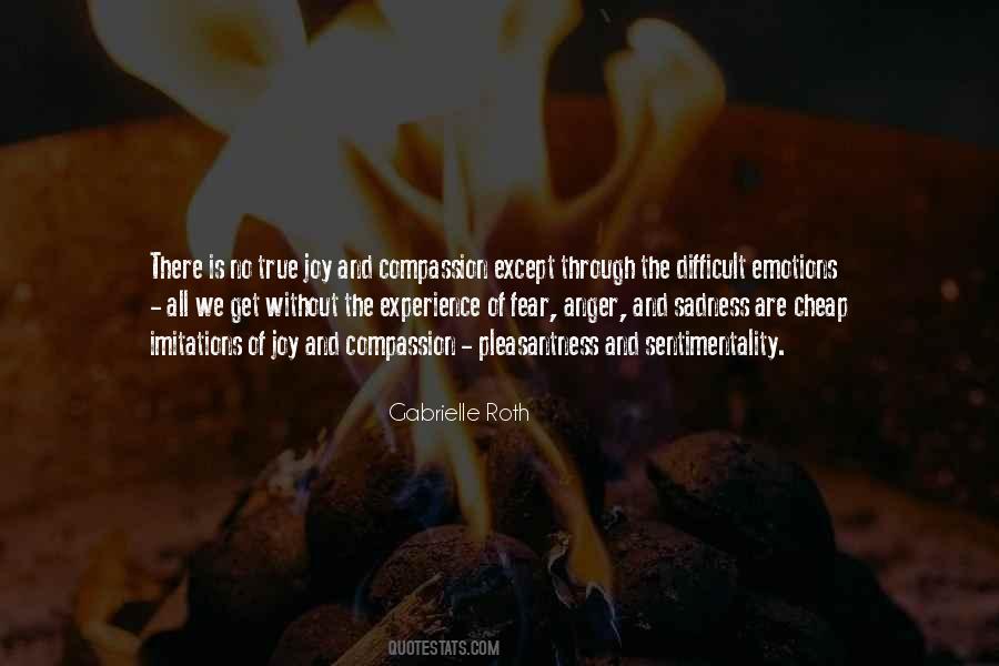 Through Sadness Quotes #1110067