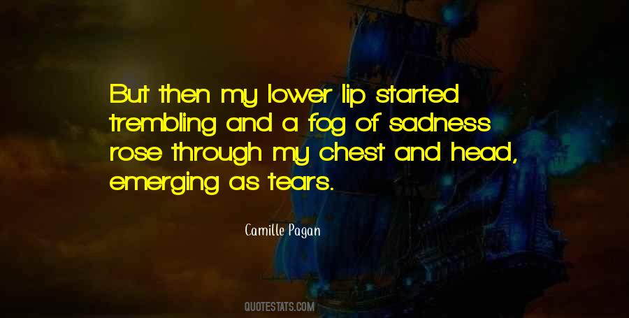 Through Sadness Quotes #1128158
