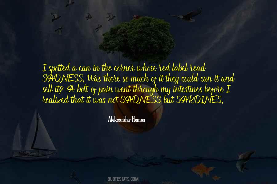 Through Sadness Quotes #125956