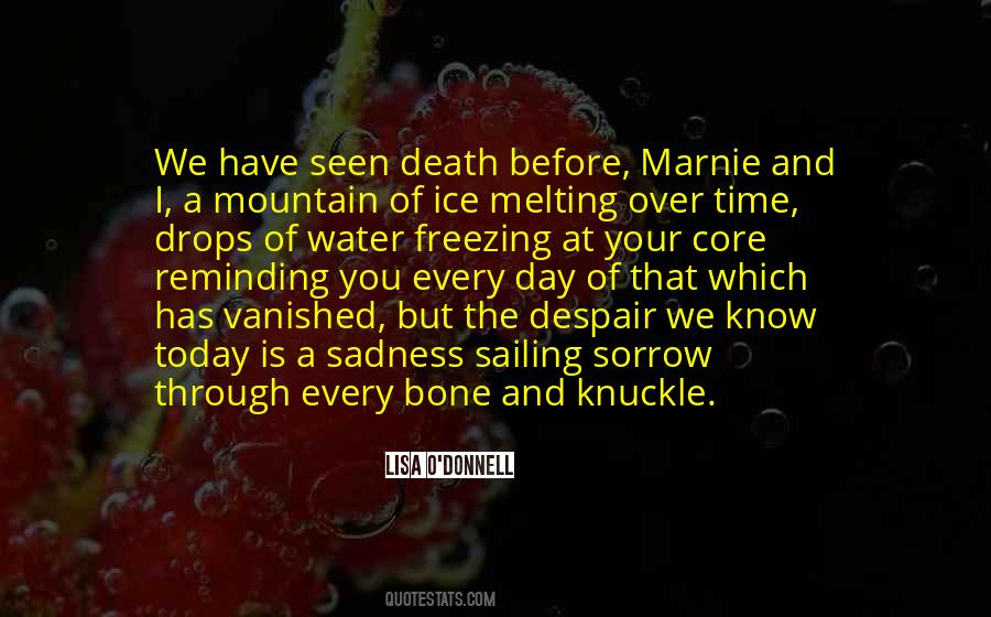 Through Sadness Quotes #208406