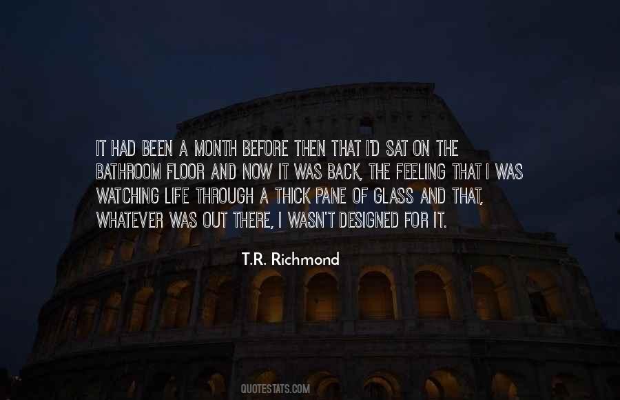 Through Sadness Quotes #357975