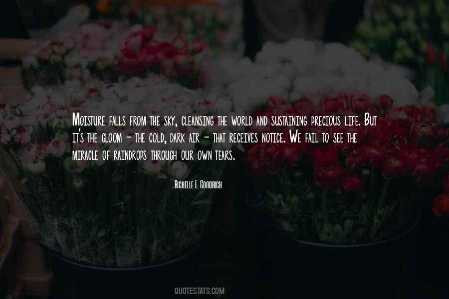 Through Sadness Quotes #746215