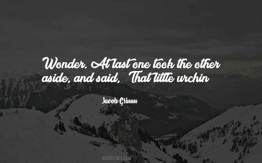 Little Wonder Quotes #209666
