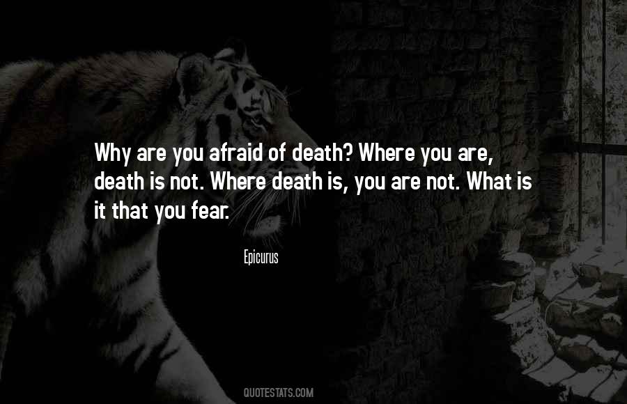 What Are You Afraid Of Quotes #92950