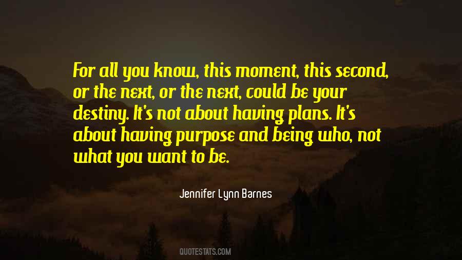Quotes About Not Having What You Want #1394162