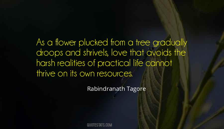 Love Practical Quotes #847565