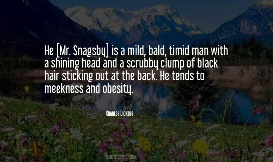 Shining Hair Quotes #1080187