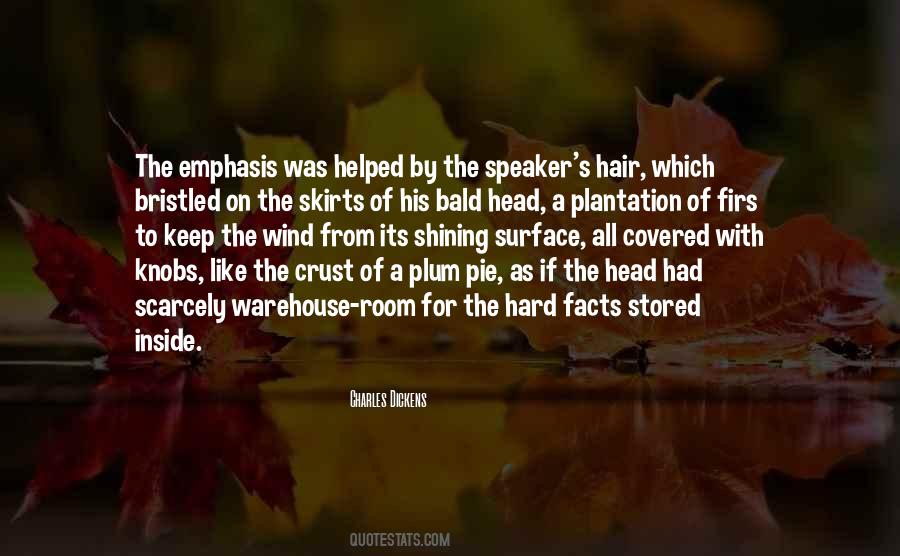 Shining Hair Quotes #1220205