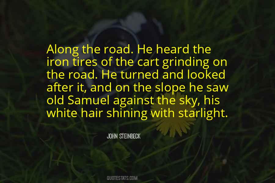Shining Hair Quotes #1278232