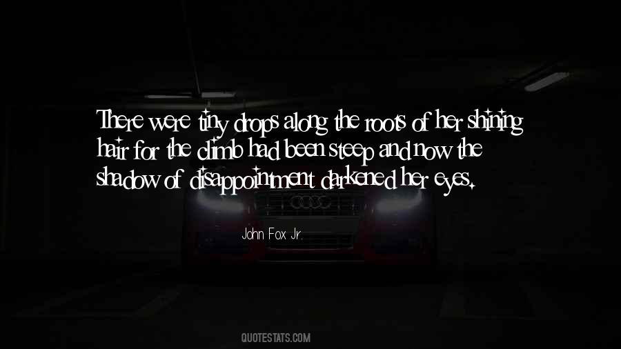 Shining Hair Quotes #1584359