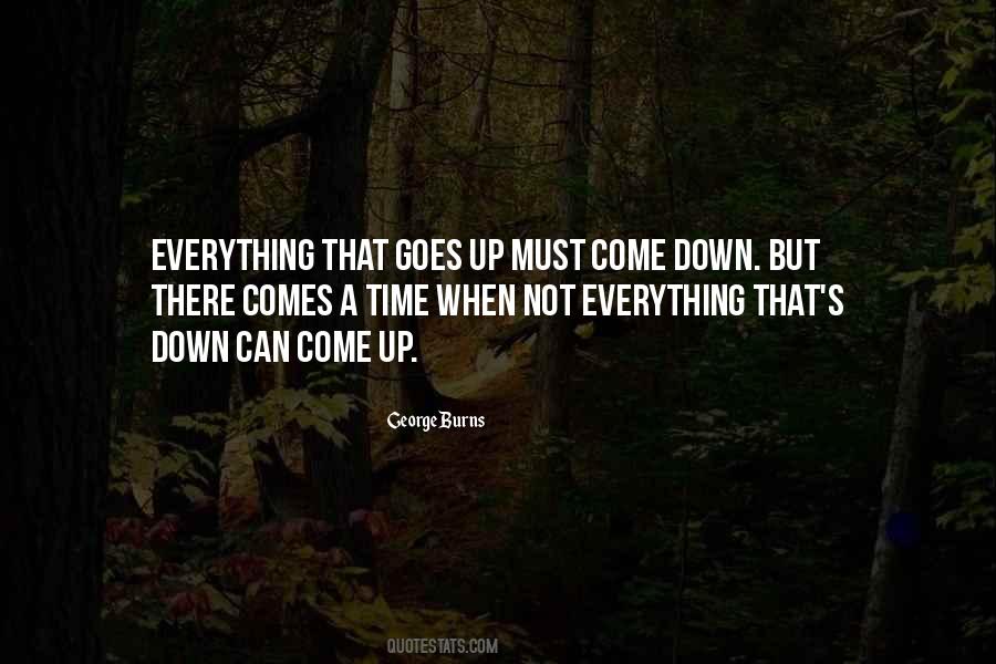 Everything That Goes Up Must Come Down Quotes #1090349