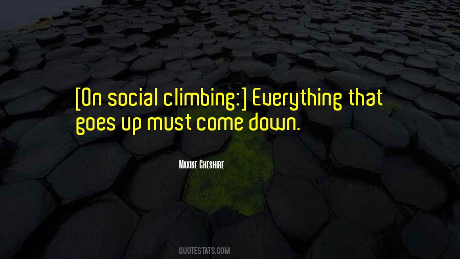 Everything That Goes Up Must Come Down Quotes #1131902
