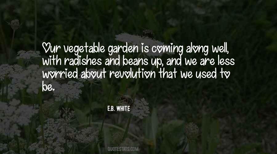 Quotes About A Vegetable Garden #549787