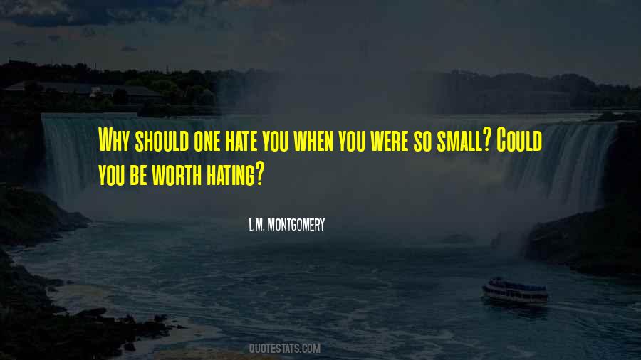 Quotes About Hating On Someone #156451