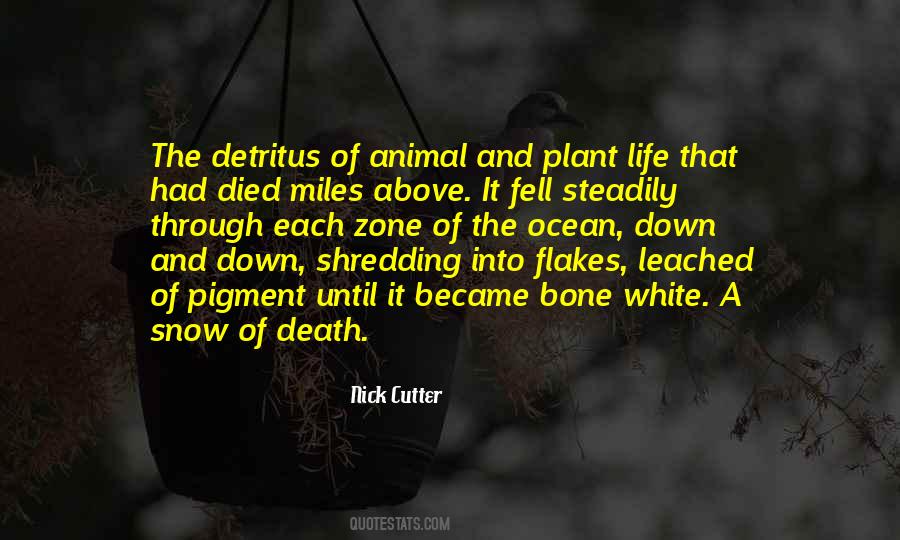 Ocean Animal Quotes #1693516