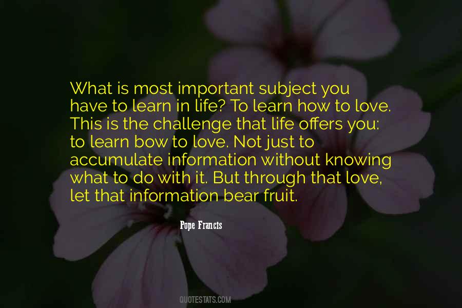 Learn To Love You Quotes #963159