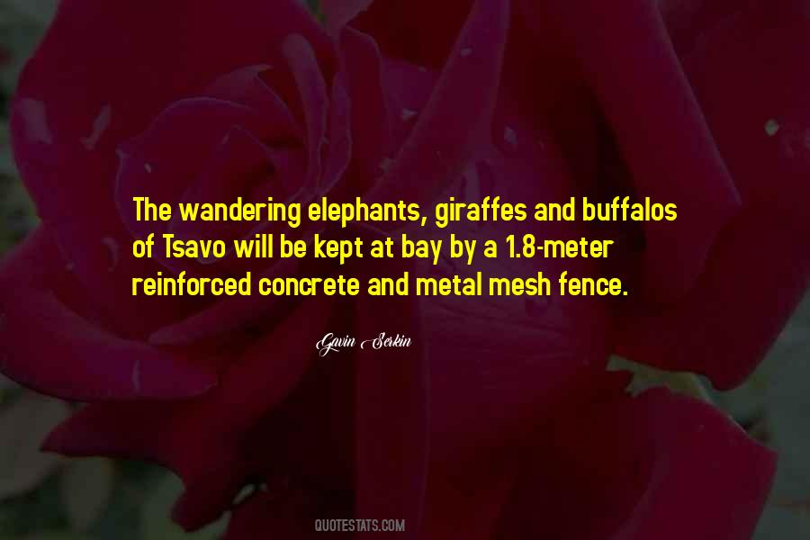 By The Bay Quotes #1690621