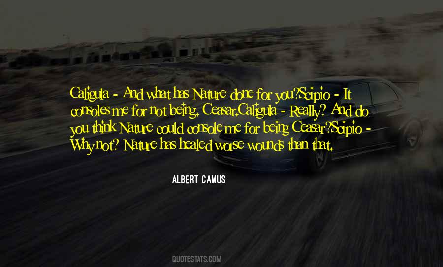 Quotes About Not Being Done #1741718