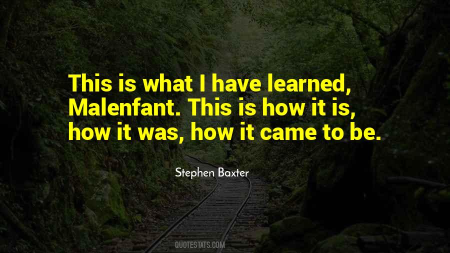 What Have I Learned Quotes #1656882