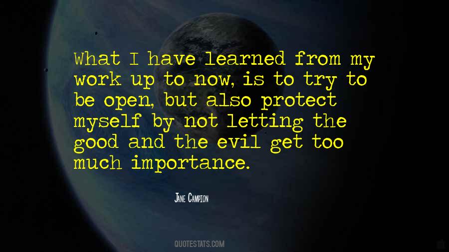 What Have I Learned Quotes #566392