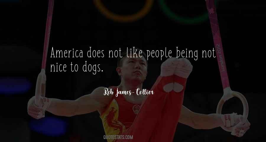 Nice America Quotes #1295566