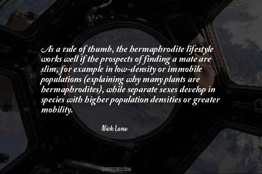 The Slim Quotes #1524121