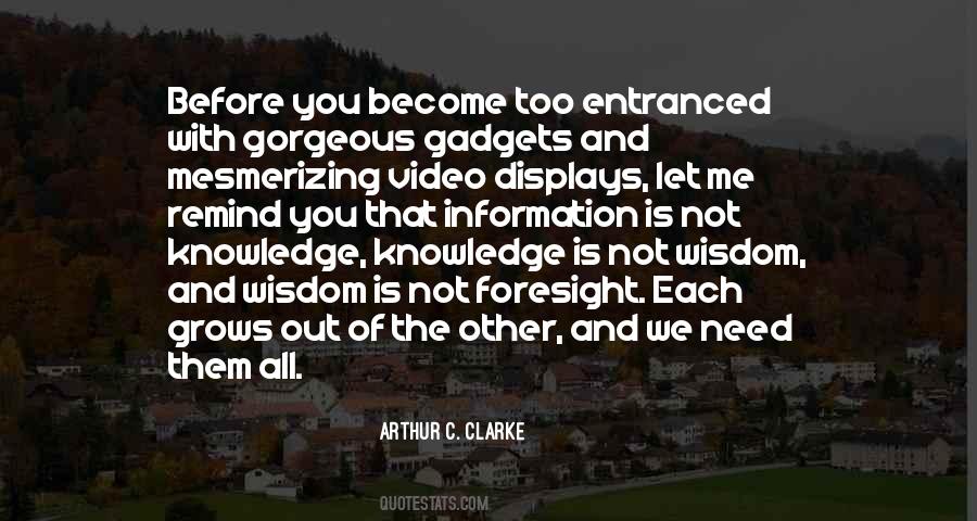 Information Knowledge Wisdom Quotes #1585330