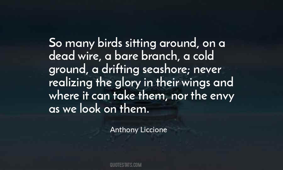 Travel Fly Quotes #1008692