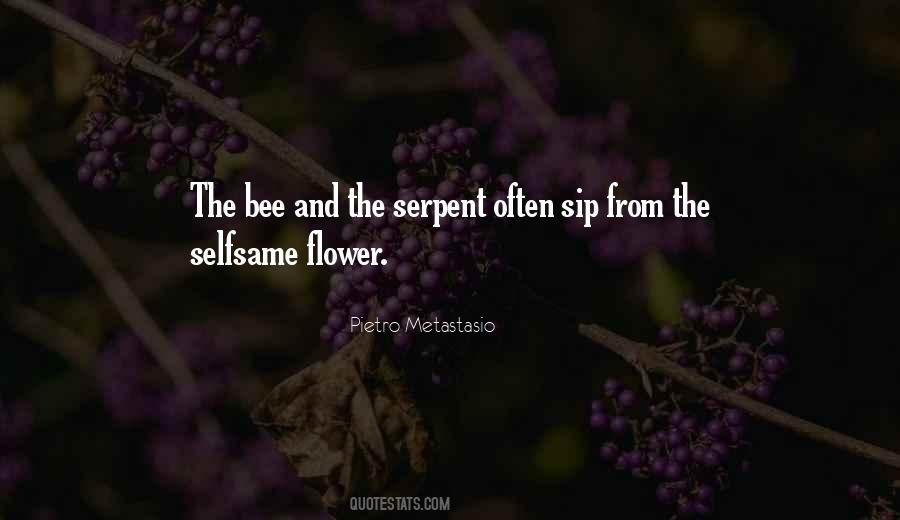 Flower Bee Quotes #1163099