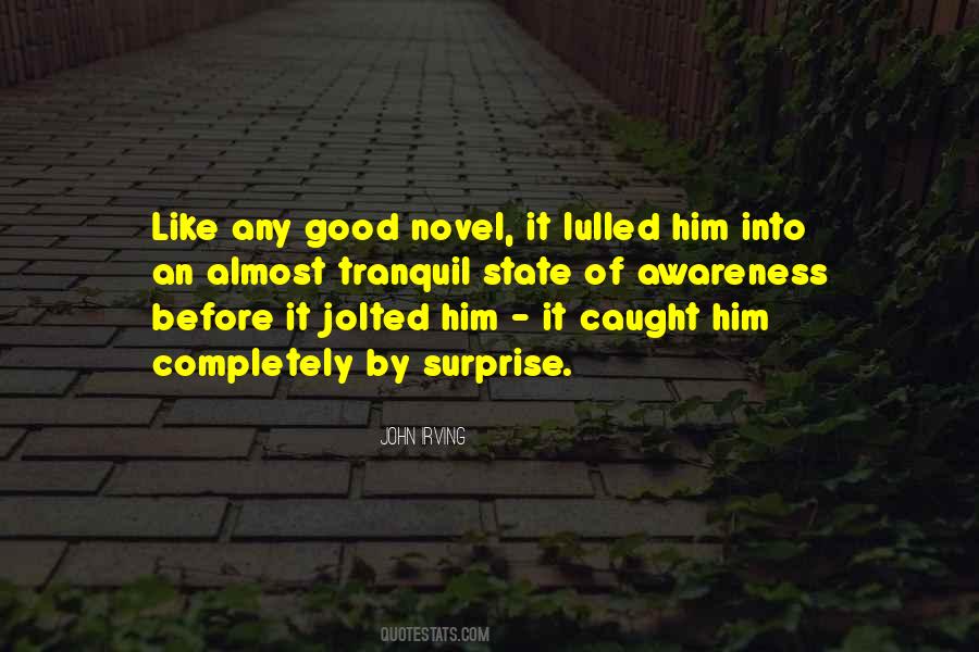 Good Novel Quotes #1178250