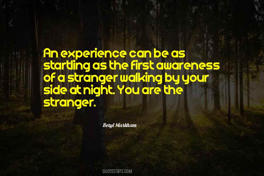 You Are A Stranger Quotes #985295